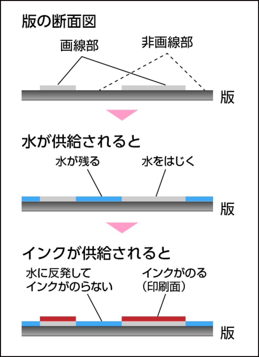 版の断面図