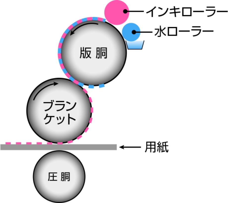 版の断面図