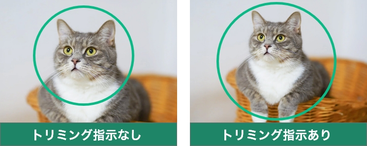 写真の配置は任意でのトリミング