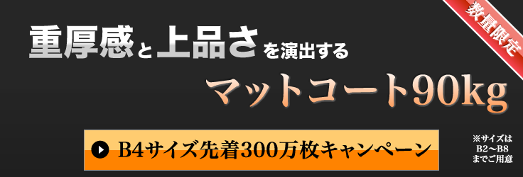 B判チラシ印刷キャンペーン