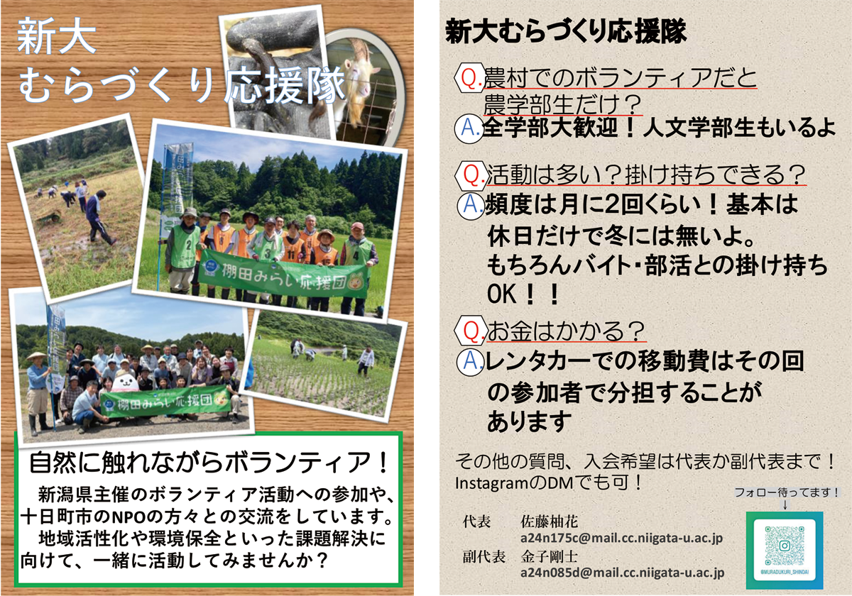 チラシ印刷・フライヤー印刷_A4サイズのサークル勧誘のためのチラシ