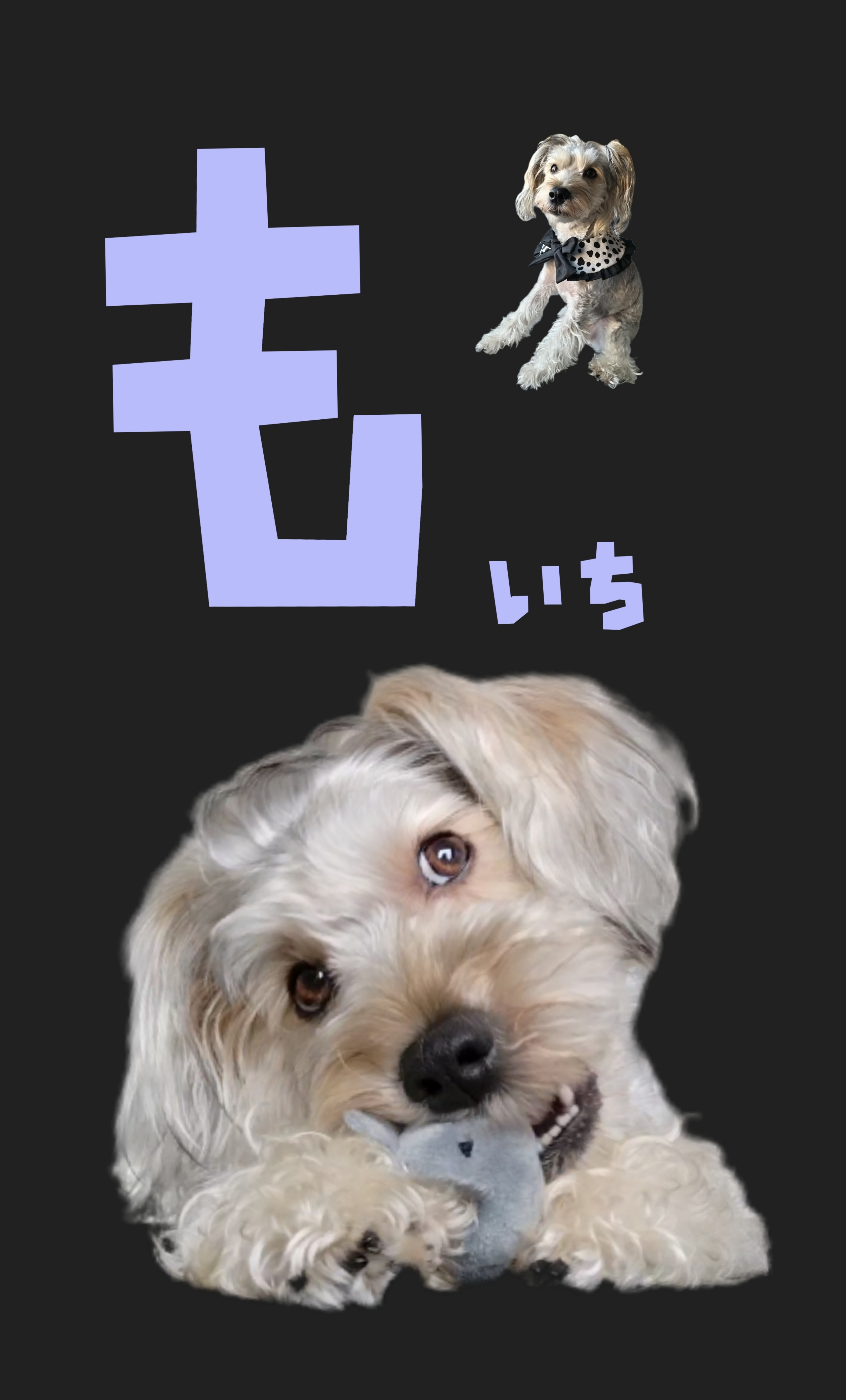 【もいち 様】オフ会用の名刺(カード)